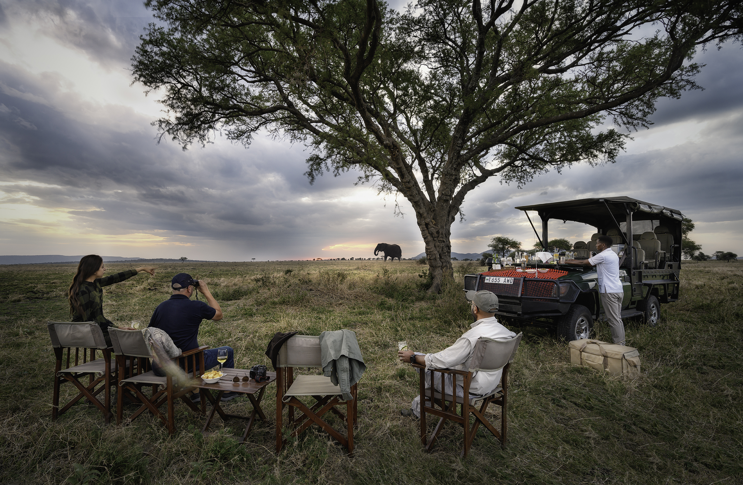 Luxury safari experience